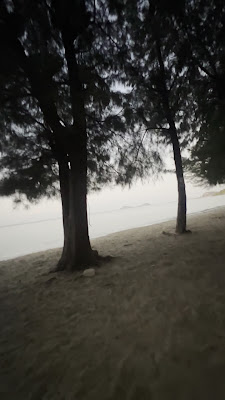 หาดนางรอง