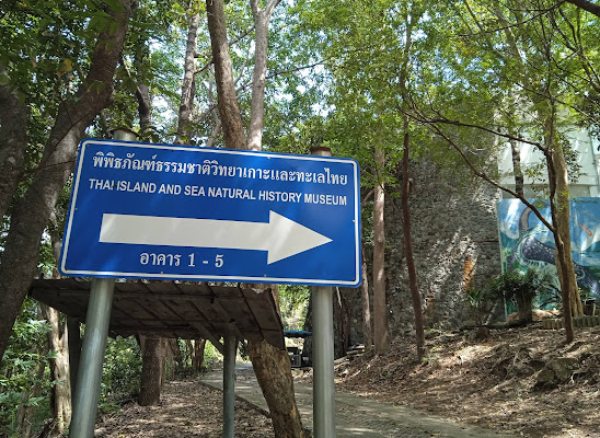 พิพิธภัณฑ์ธรรมชาติวิทยาเกาะและทะเลไทย